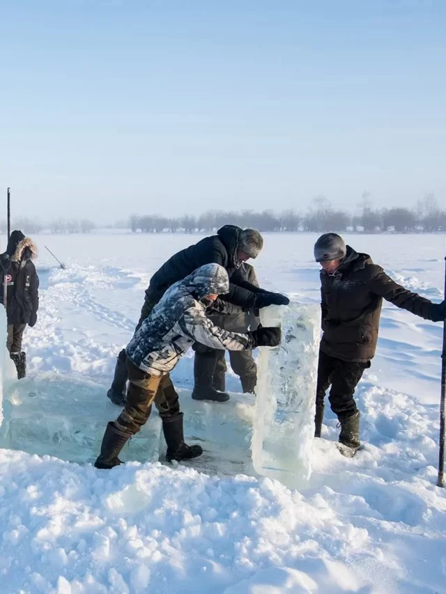 Zombie Virus Found in Siberia Ice Land